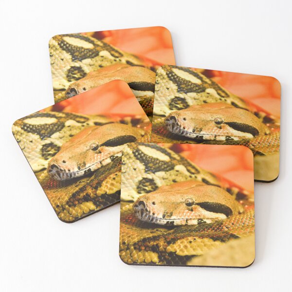 Item preview, Snake Lover designed and sold by Ksswaden.