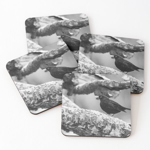 Item preview, Just a bit unsure. Eurasian blackbird bw designed and sold by Jouko Lehto Photography.