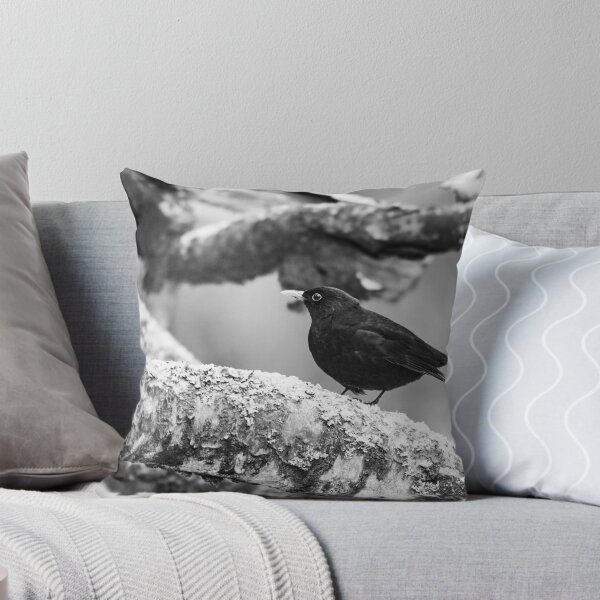 Item preview, Just a bit unsure. Eurasian blackbird bw designed and sold by Jouko Lehto Photography.