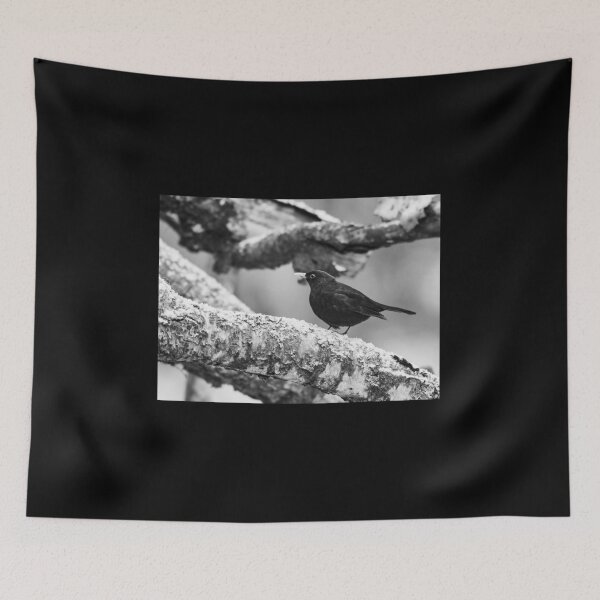 Item preview, Just a bit unsure. Eurasian blackbird bw designed and sold by Jouko Lehto Photography.
