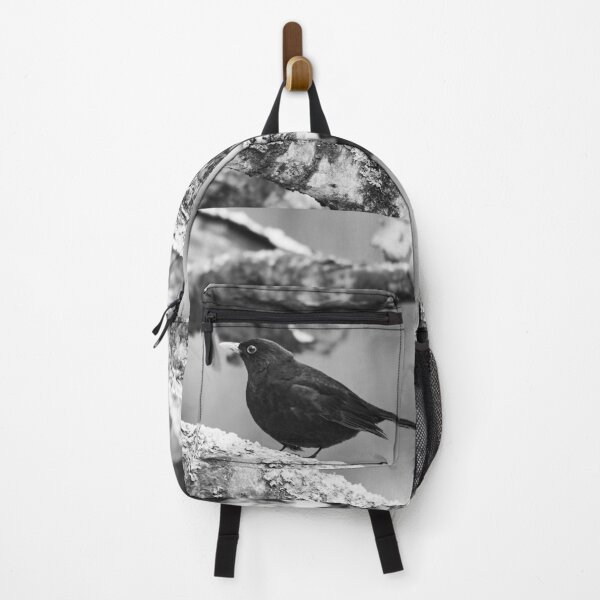 Item preview, Just a bit unsure. Eurasian blackbird bw designed and sold by Jouko Lehto Photography.