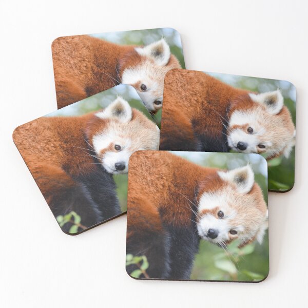 Item preview, RedPanda Face designed and sold by Ksswaden.