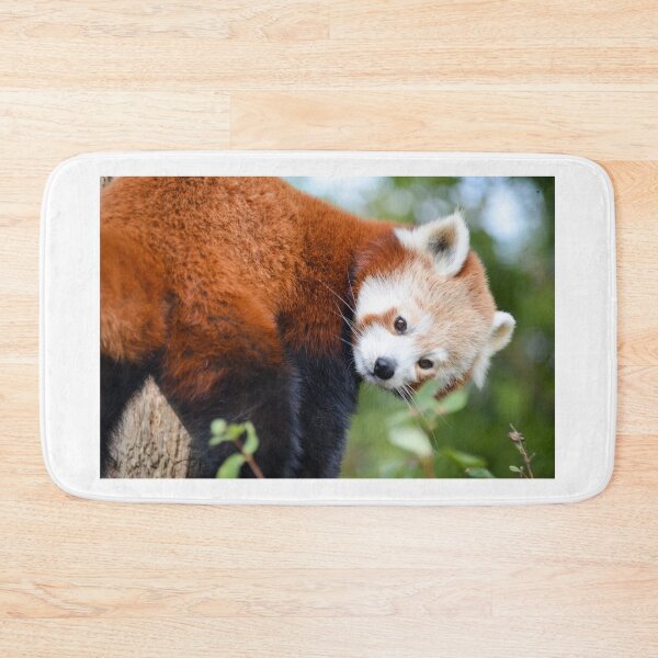 Item preview, RedPanda Face designed and sold by Ksswaden.