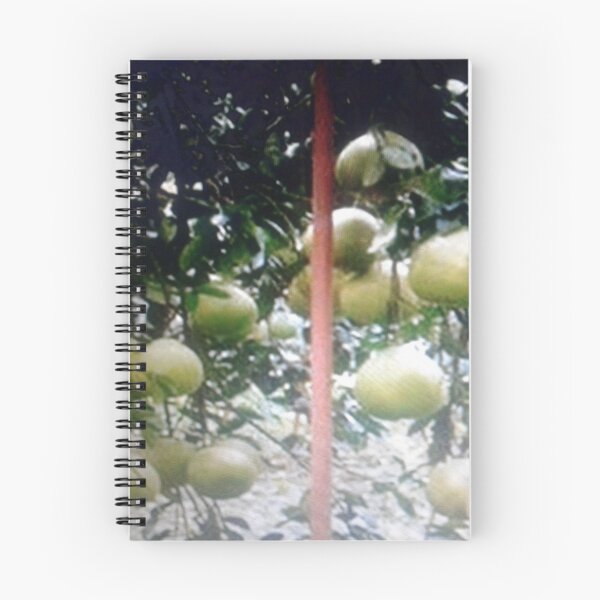 Item preview, Bonito pomelo. designed and sold by Lan thi Nguyen.
