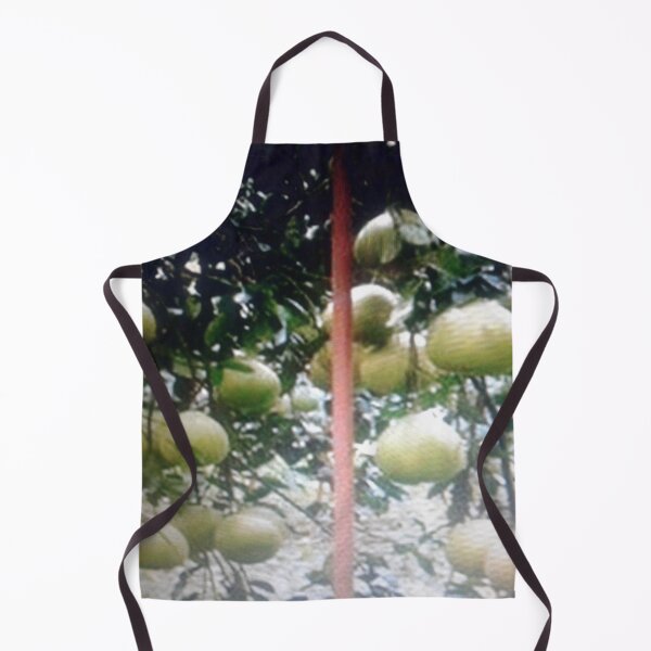 Item preview, Bonito pomelo. designed and sold by Lan thi Nguyen.