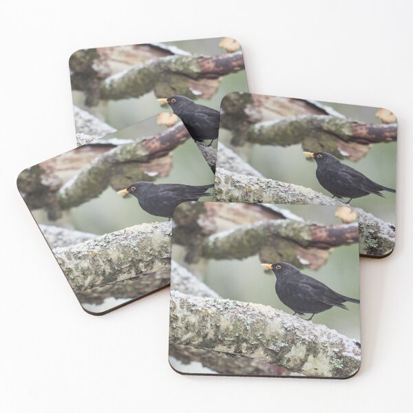 Item preview, Just a bit unsure. Eurasian blackbird designed and sold by Jouko Lehto Photography.