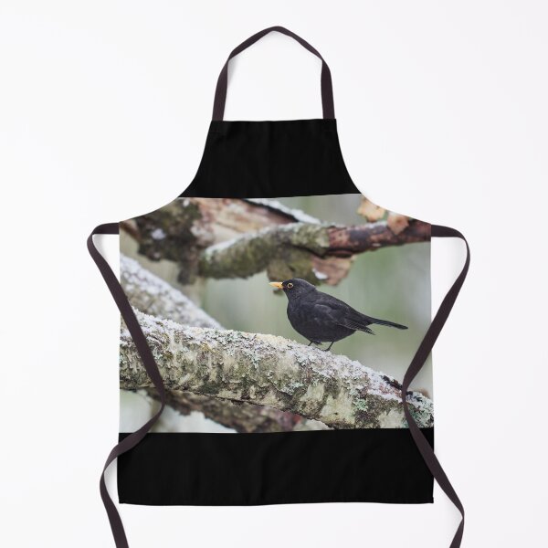 Item preview, Just a bit unsure. Eurasian blackbird designed and sold by Jouko Lehto Photography.