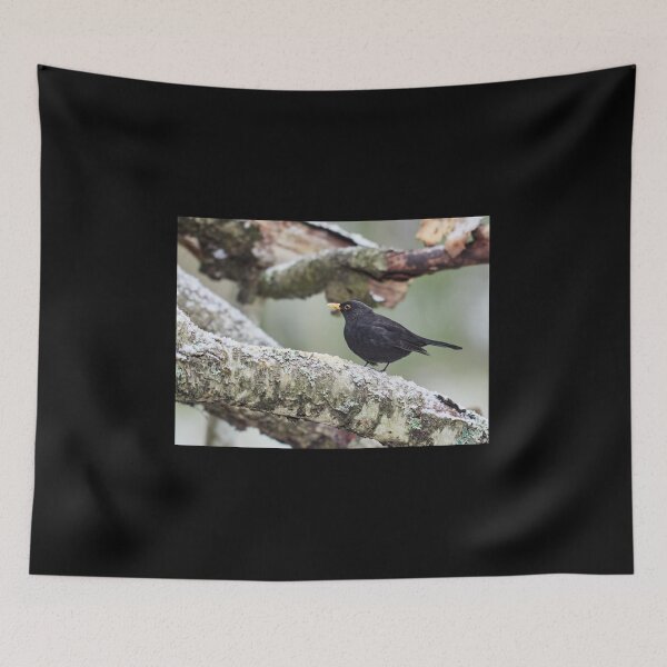 Item preview, Just a bit unsure. Eurasian blackbird designed and sold by Jouko Lehto Photography.