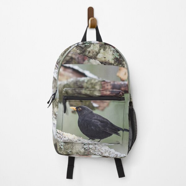 Item preview, Just a bit unsure. Eurasian blackbird designed and sold by Jouko Lehto Photography.