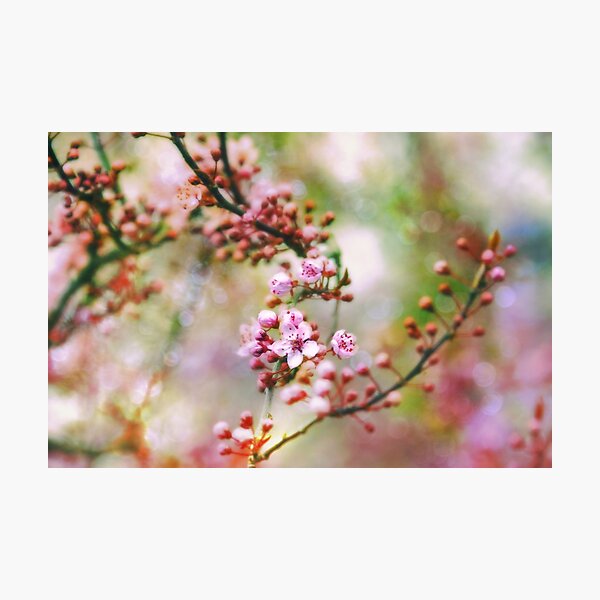 Item preview, Spring Blossoms designed and sold by Peggy Collins.