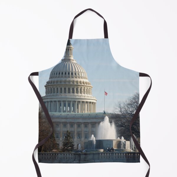 Item preview, The U. S. Capitol designed and sold by John Schneider.