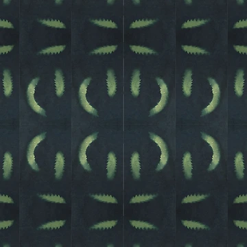 Artwork thumbnail, Natural leaf by RubyPrintDesign