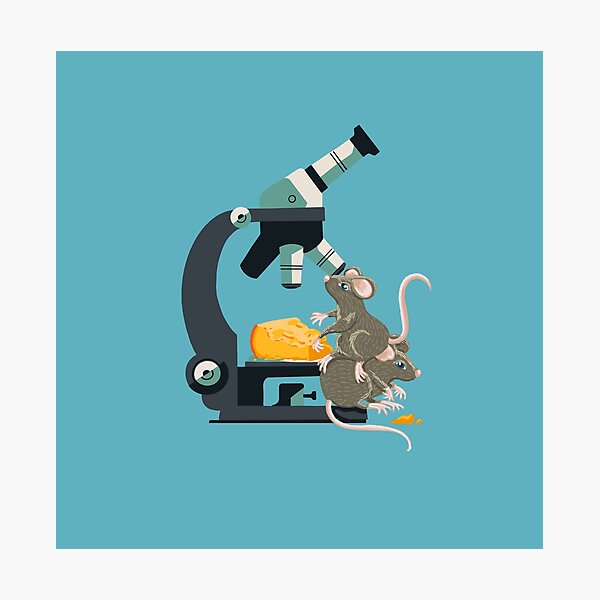 Item preview, Micro Mouse ‘n Cheese designed and sold by Lisa Rotenberg.