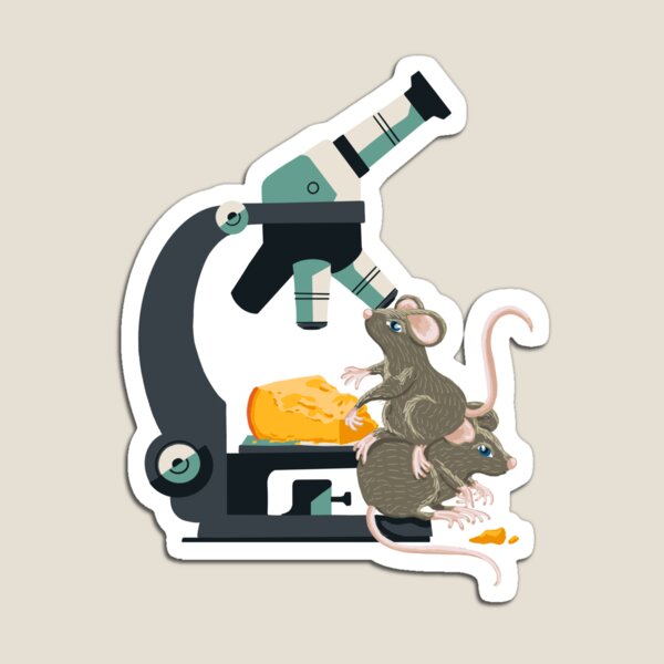 Micro Mouse ‘n Cheese Magnet