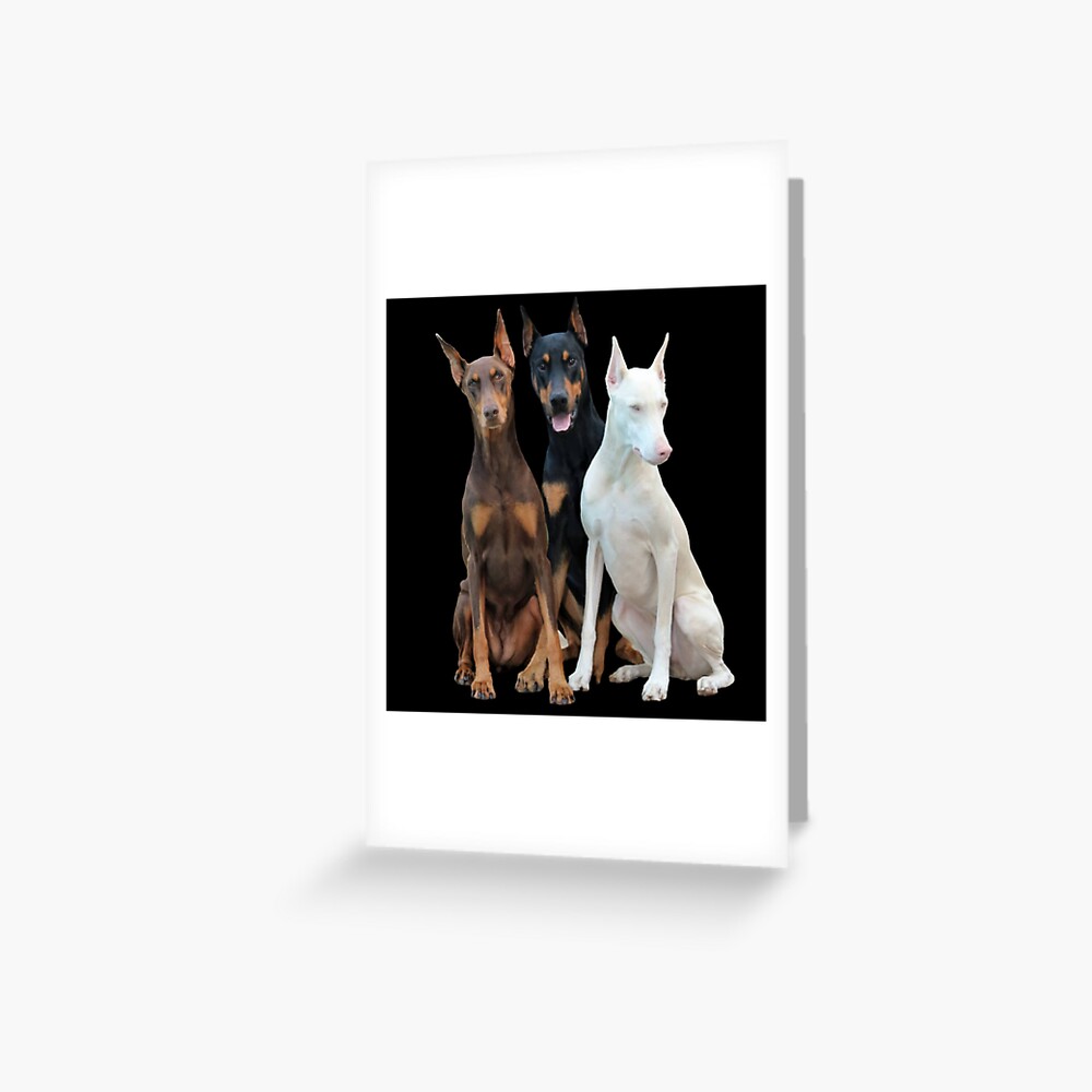 3.5-Inch Tree-Free Greetings 60986 Premium Square Eco Magnet Jack Russell Terrier