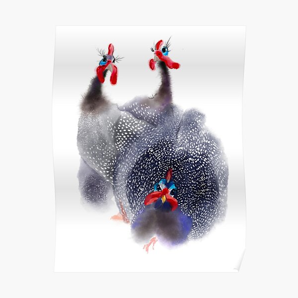 Three Guinea fowl birds Poster
