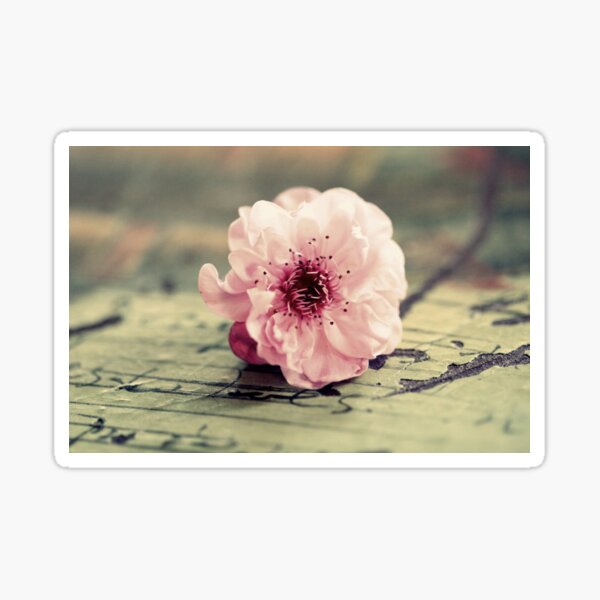 Item preview, Fallen designed and sold by Evita.