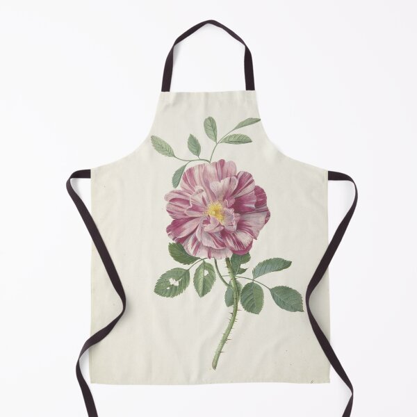 Item preview, Rose, by Pieter Withoos. designed and sold by Historical Paintings.