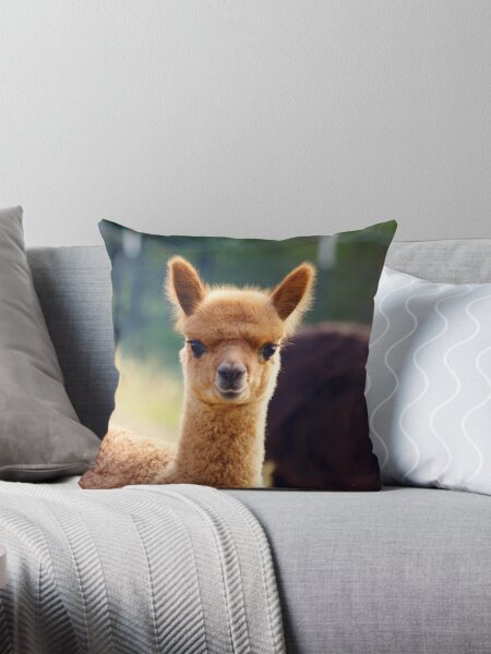 Cute llama pillows best sale