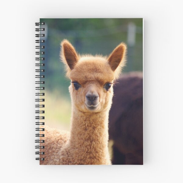 Item preview, Cute Baby Alpaca designed and sold by karendgal.