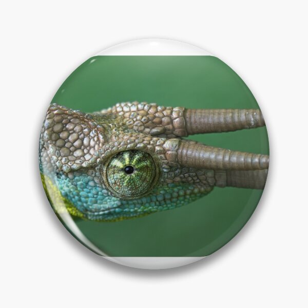 Item preview, 3 Horned Chameleon Jacksons Staring at You designed and sold by Frank Soos.