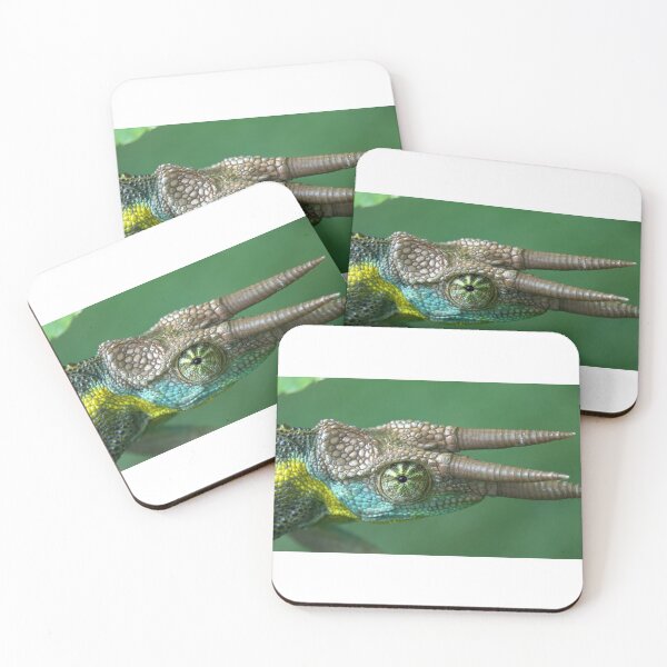 Item preview, 3 Horned Chameleon Jacksons Staring at You designed and sold by Frank Soos.