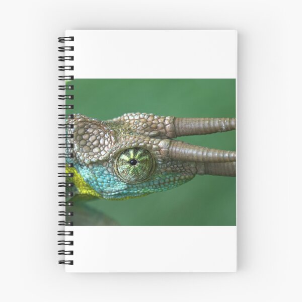 Item preview, 3 Horned Chameleon Jacksons Staring at You designed and sold by Frank Soos.