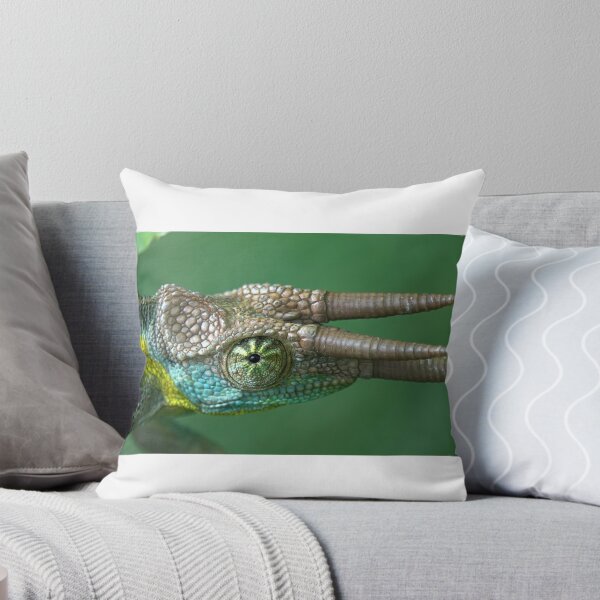 Item preview, 3 Horned Chameleon Jacksons Staring at You designed and sold by Frank Soos.