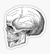 Skull 2.0 Sticker