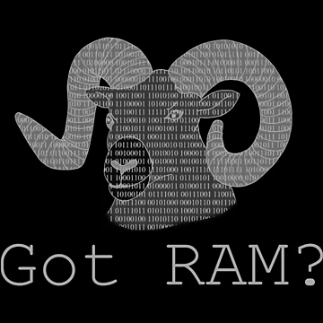 Artwork thumbnail, Got RAM? by SplottersGuide