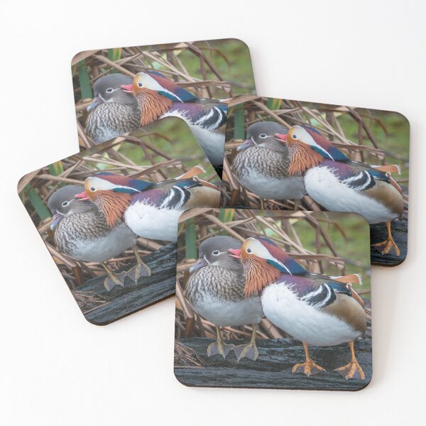 Item preview, GIVE US A KISS! designed and sold by Steve Liptrot Photography.