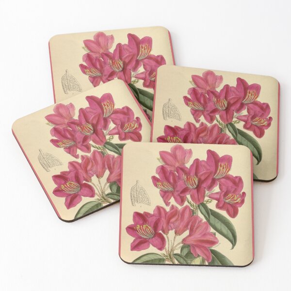 Item preview, Ilustración Floral Vintage Mucho Amor designed and sold by bellatierra.