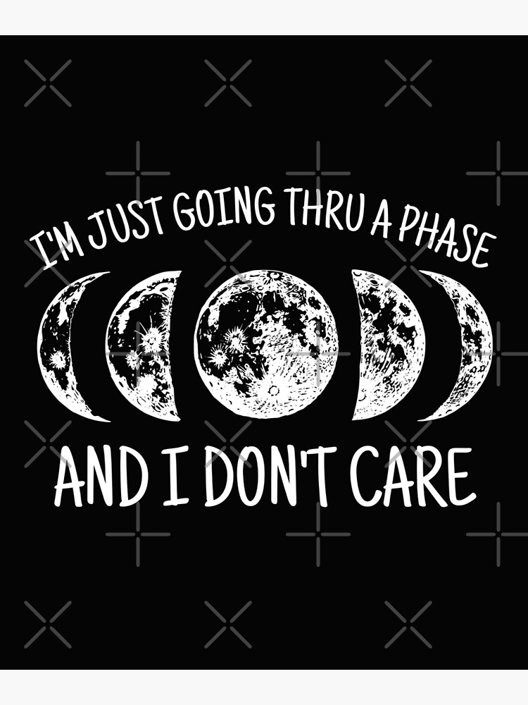 Funny Astronomy Pillow Half Moon Just a Phase I'm Going Through