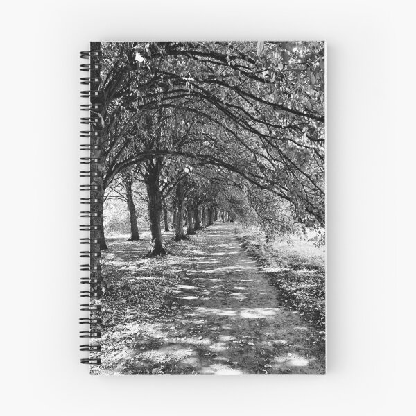 Item preview, Monochrome avenue of trees designed and sold by Tizz07.