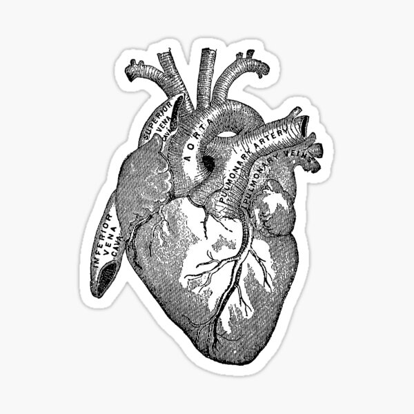 Heart Sticker
