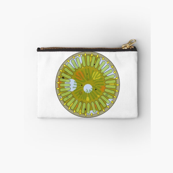 Item preview, Diatom - Cyclotella meneghiniana (artwork) designed and sold by DiatomsATTACK.
