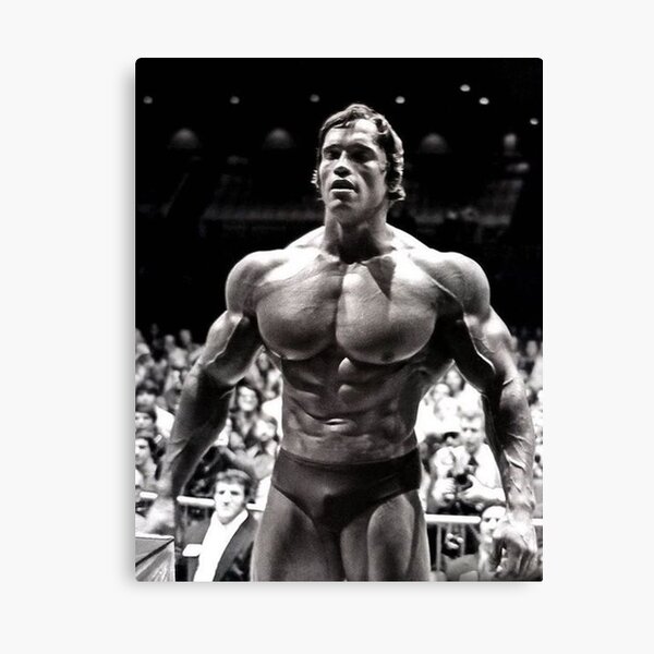 Arnold Schwarzenegger Canvas Print