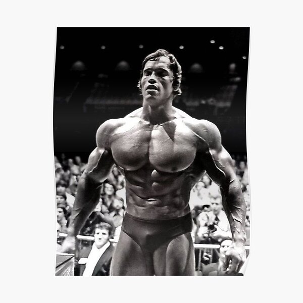 Poster Arnold Schwarzenegger Redbubble