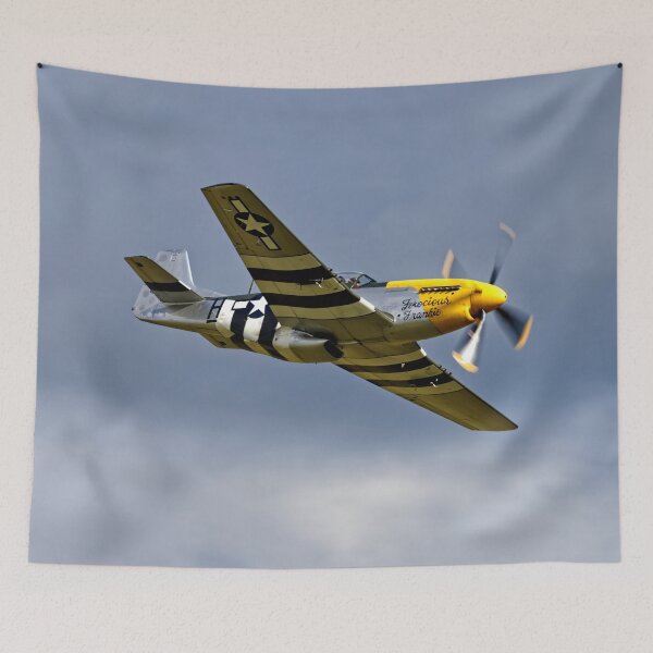 Item preview, North American P-51D Mustang "Ferocious Frankie" designed and sold by Andy Harker.