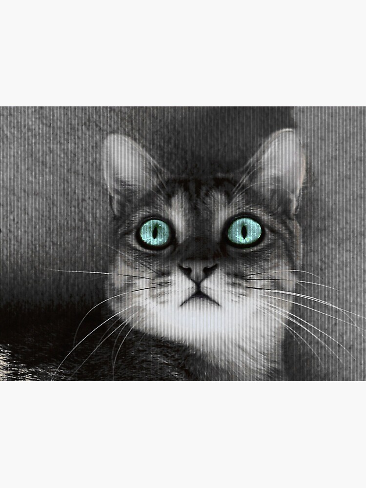 cat art by rogersmith