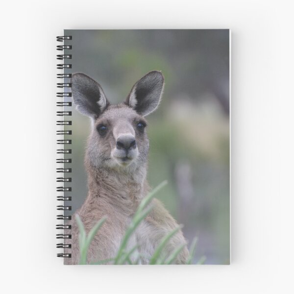 Item preview, Peekaboo Kangaroo designed and sold by Vicki Johnson.