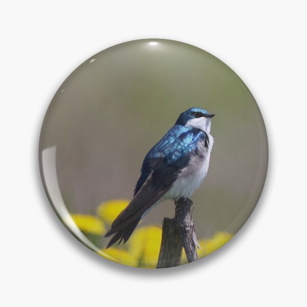 Item preview, Tree Swallow designed and sold by cherylorraine.
