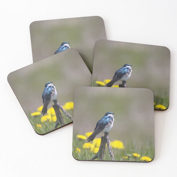 Item preview, Tree Swallow designed and sold by cherylorraine.