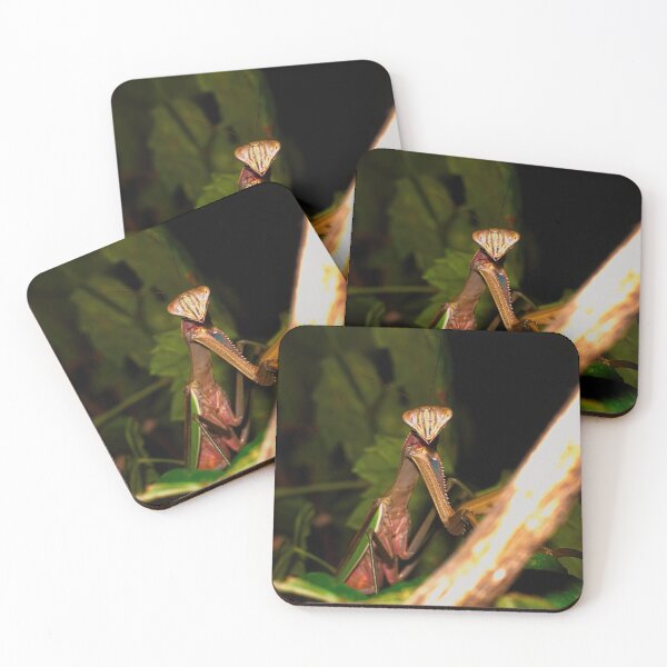 Item preview, Green Chinese Mantis Macro closeup leaves 2 designed and sold by Frank Soos.