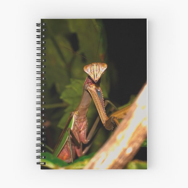 Item preview, Green Chinese Mantis Macro closeup leaves 2 designed and sold by Frank Soos.