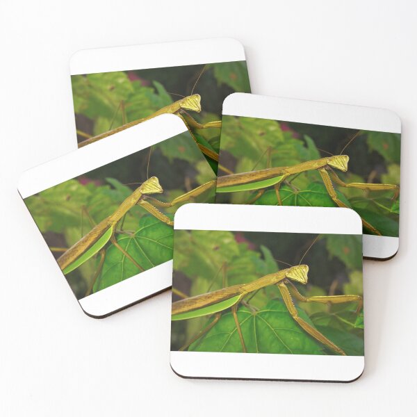 Item preview, Green Chinese Mantis Macro closeup leaves 3 designed and sold by Frank Soos.