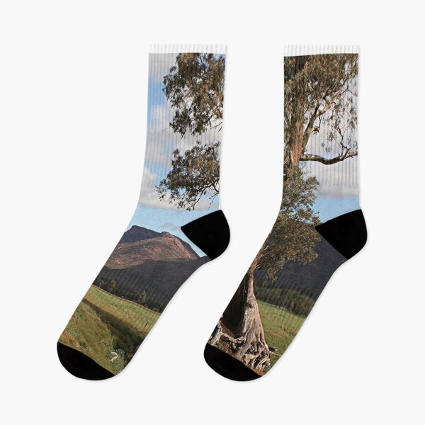Item preview, Gumtree & Wilpena Pound, Flinders Ranges, Australia designed and sold by FranWest.