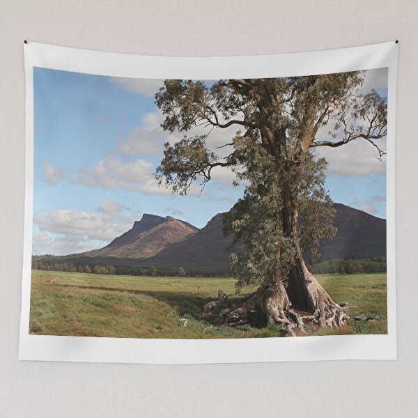Item preview, Gumtree & Wilpena Pound, Flinders Ranges, Australia designed and sold by FranWest.
