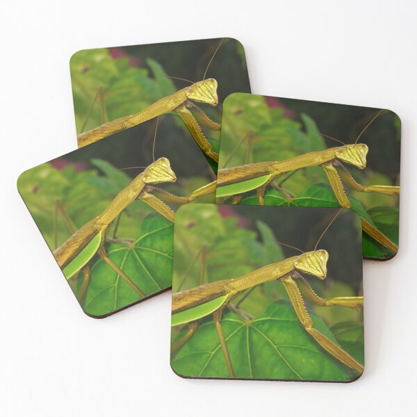 Item preview, Green Chinese Mantis Macro closeup leaves 4 designed and sold by Frank Soos.