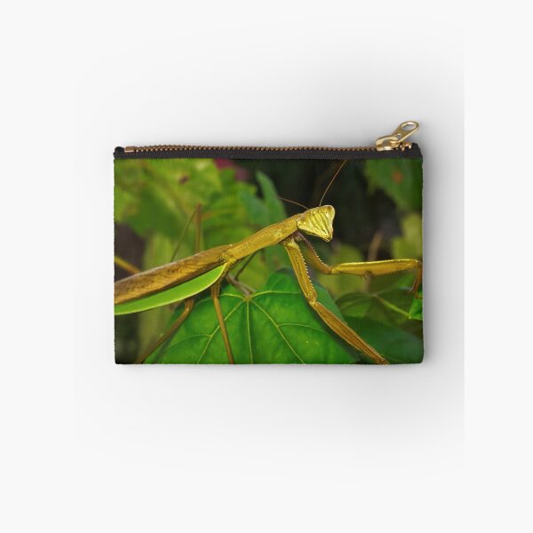 Item preview, Green Chinese Mantis Macro closeup leaves 4 designed and sold by Frank Soos.